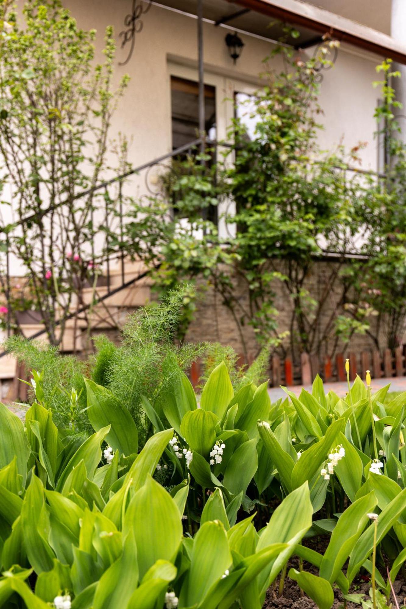Green Garden Avrig Dış mekan fotoğraf