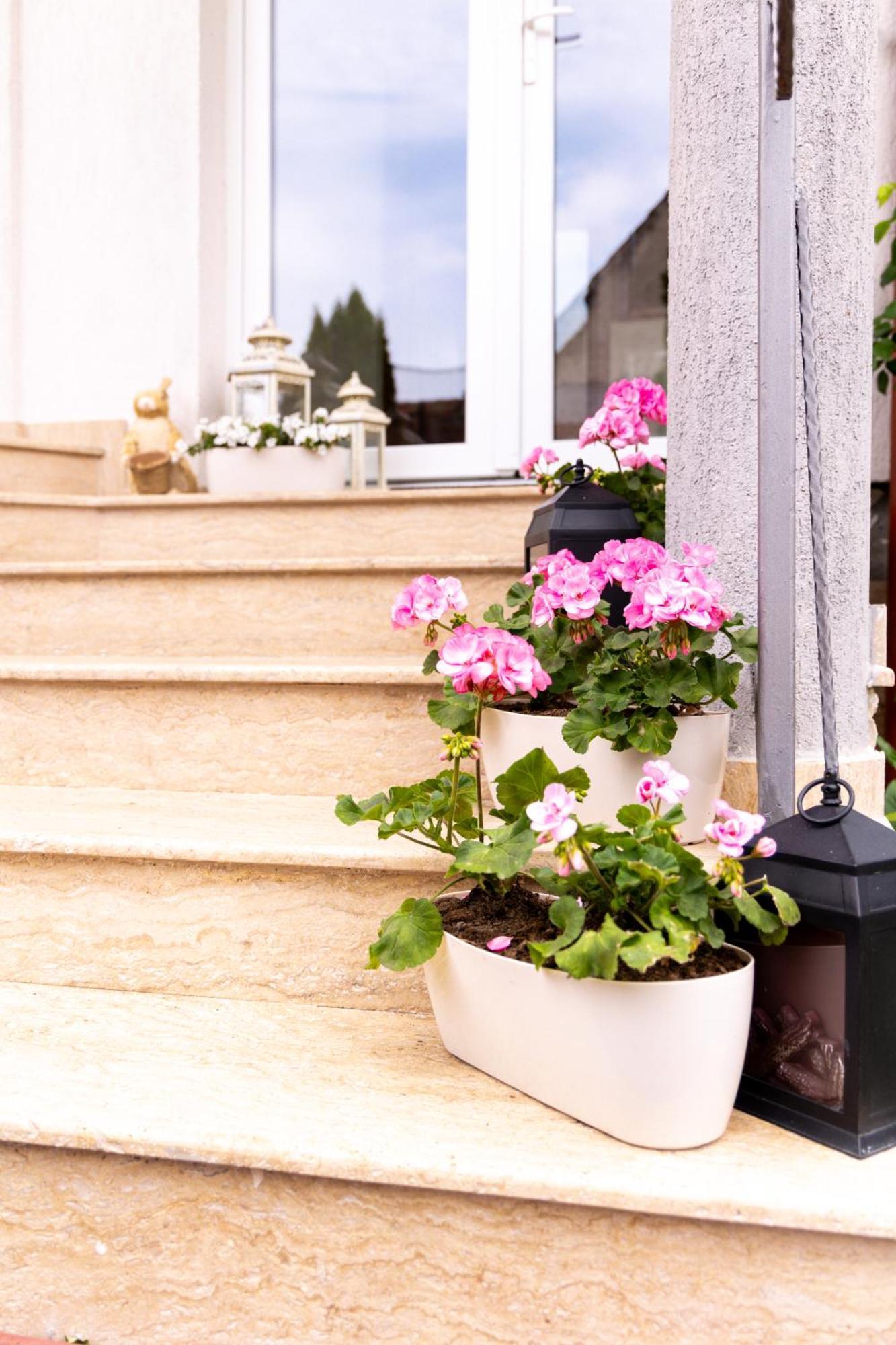 Green Garden Avrig Dış mekan fotoğraf